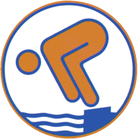 2009-08-13 Schwimmabzeichen-Bronze.png