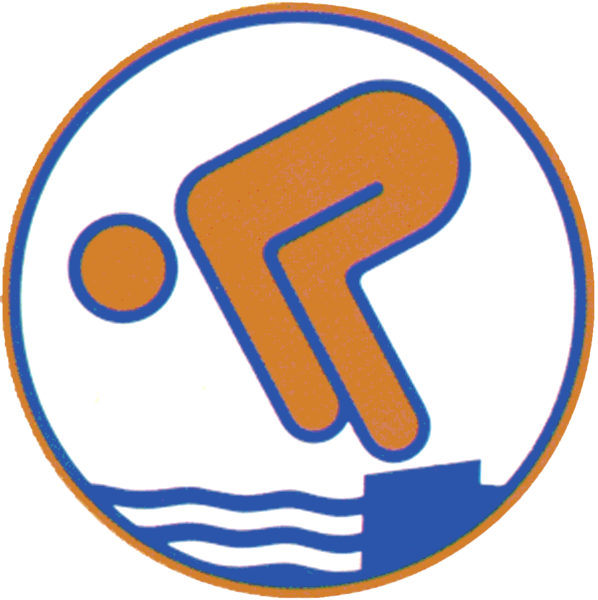 Datei:2009-08-13 Schwimmabzeichen-Bronze.png